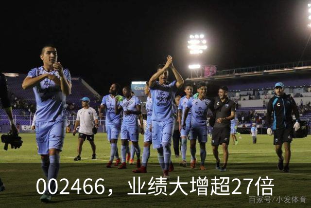 002466，业绩大增超27倍